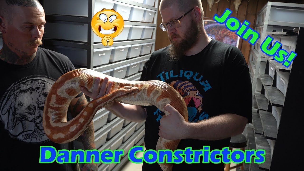 skins exclusivas fortnite We Visit Jon Danner from Danner Constrictors' Epic Collection!