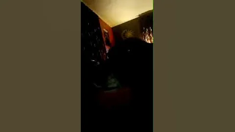 The El Paso shooter with his dog