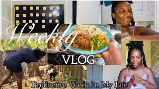 Celebrity Productive week in my life: cooking + picking the kids names + make vision board  Net Worth