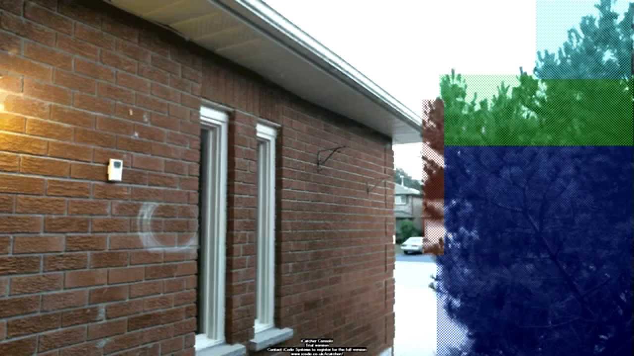 Caught on camera! Raccoon is trying to climb a wall to get inside my garage. - YouTube Eugene Robertus