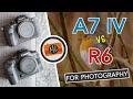 Sony A7 IV vs Canon R6 In-Depth Comparison - Part 1: Photography