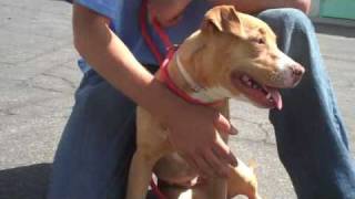 A3949321 - Kierkergaard