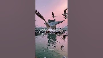 ويل لكل جبار عنيد عاقبته جهنم وعذاب شديد (سورة ابراهيم 15-17)#quran #اكسبلور #قرآن