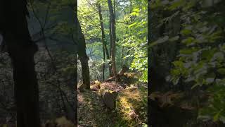 Ausbruch aus Dahestan, heute nicht |