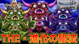 Dragon Quest IV Gaiden #51 THE Secret of Evolution Balzack
