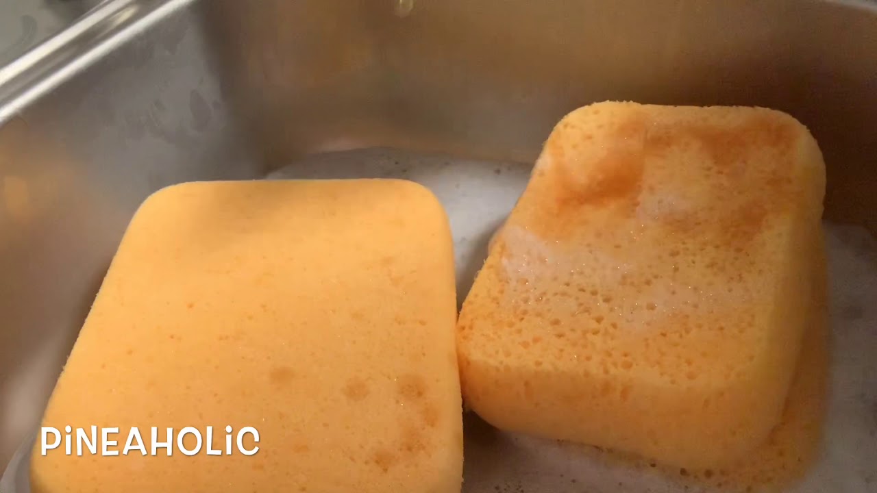 ASMR Sponge Party !!🧽🧽🌲🌲 - YouTube