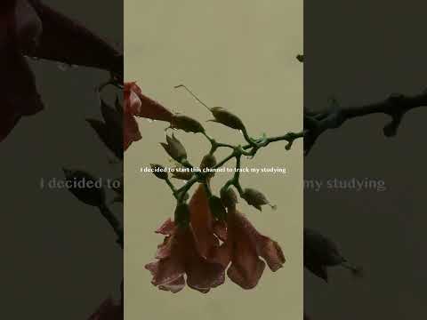 For The Ones Who Study Quietly And Carry So Much 