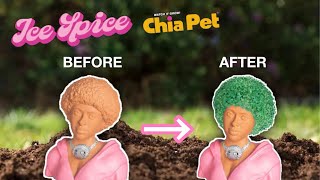 Growing an Ice Spice Chia Pet *FAIL*