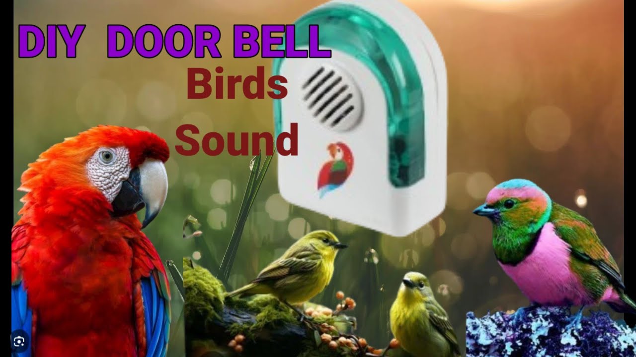 Birds Sound |DIY Door Bell Circuit |