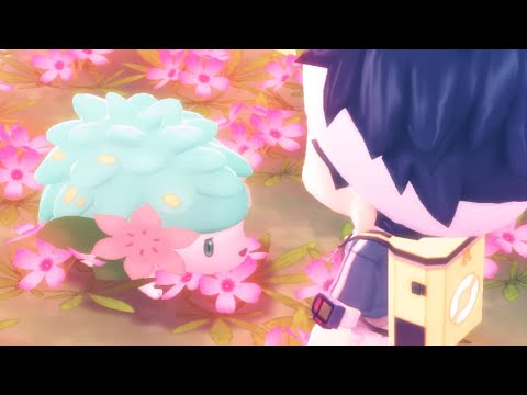 2100+ Encounters SHINY HUNTING SHAYMIN IN BDSP - 2100+ Encounters SHINY HUNTING SHAYMIN IN BDSP