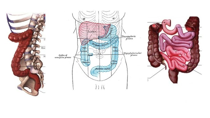 Dom 2-де Виктория Бонямен порно