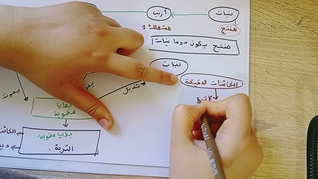 درس السلسلة الغذائية الجزء 1