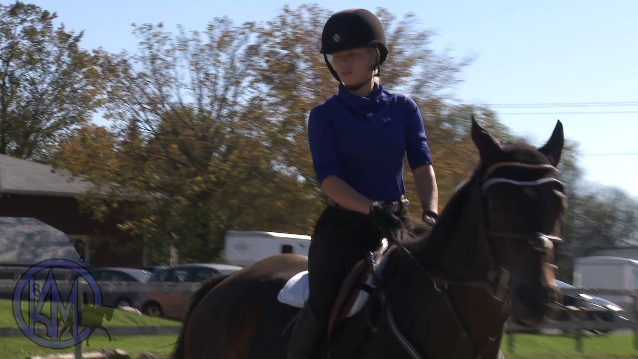 KINGS MEADOW OVERVIEW YouTube