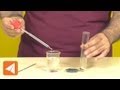 Metallic oxides form salts | Acids & Bases | Chemistry