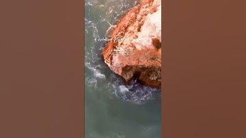 اللهم اجعل القرآن الكريم ربيع قلوبنا ونور صدورنا