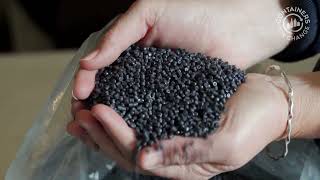 Unbelievable: Discover What Happens When You Start Recycling Plastic!