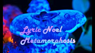 Marine Vet Reacts - Lyric Noel MetaMorphosis Master