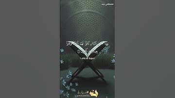 آيات خاشعة من سورة الأحقاف للقارئ مصطفى جيد
