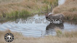 Detailed #IAmFairChase Details