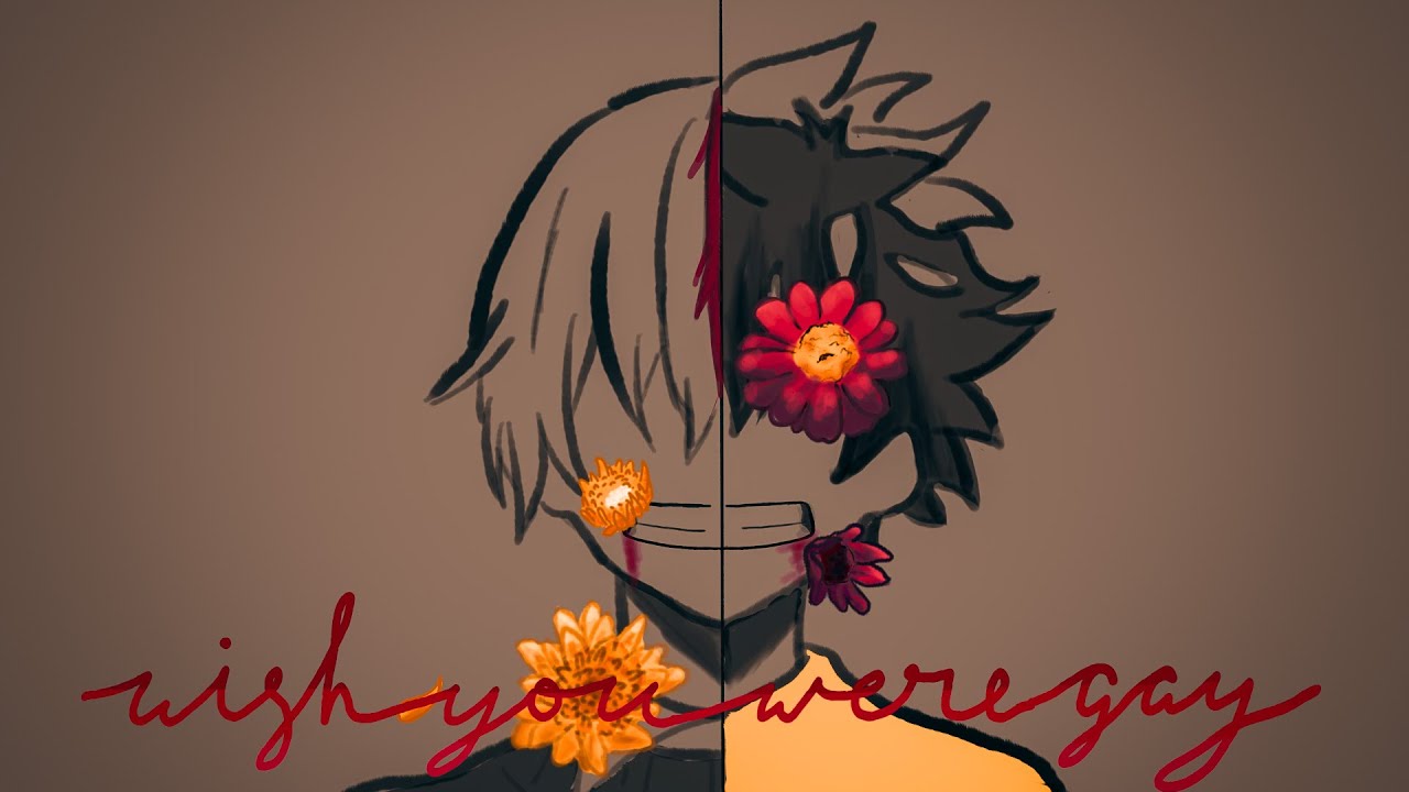 |◁ 𝕨𝕚𝕤𝕙 𝕪𝕠𝕦 𝕨𝕖𝕣𝕖 𝕘𝕒𝕪 ▷| Tododeku Animatic ➱ Bnha ➱ My Hero Academia