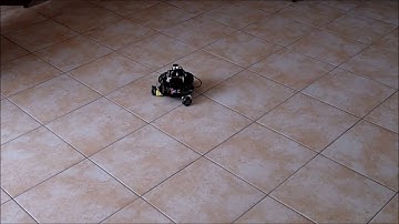 Omnidirectional mobile robot with panoramic vision