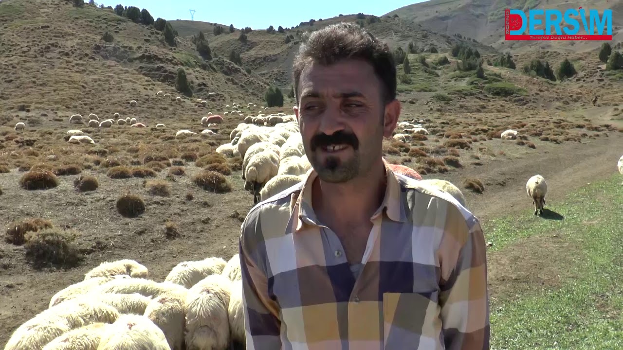 Şavaklılar, yaylalara veda etti!