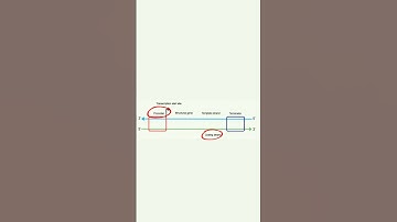 Transcription Unit | Molecular Basis of Inheritance #neet #biology #shorts