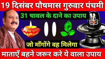 19 दिसंबर पौषमास गुरुवार पंचमी तिथि को 31 चावल दाने वाला उपाय जरूर करे || Pradeep Ji Mishra