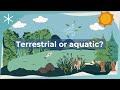 Animal Habitats and Diversity Quiz