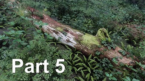 (6/9) Part 5 Player, NPC, and other overhauls  - The Improved Skyrim SE 2021 Next Gen Graphics Tut!