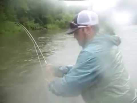 WildFish Angler East Branch in the Rain with Mark Harmande