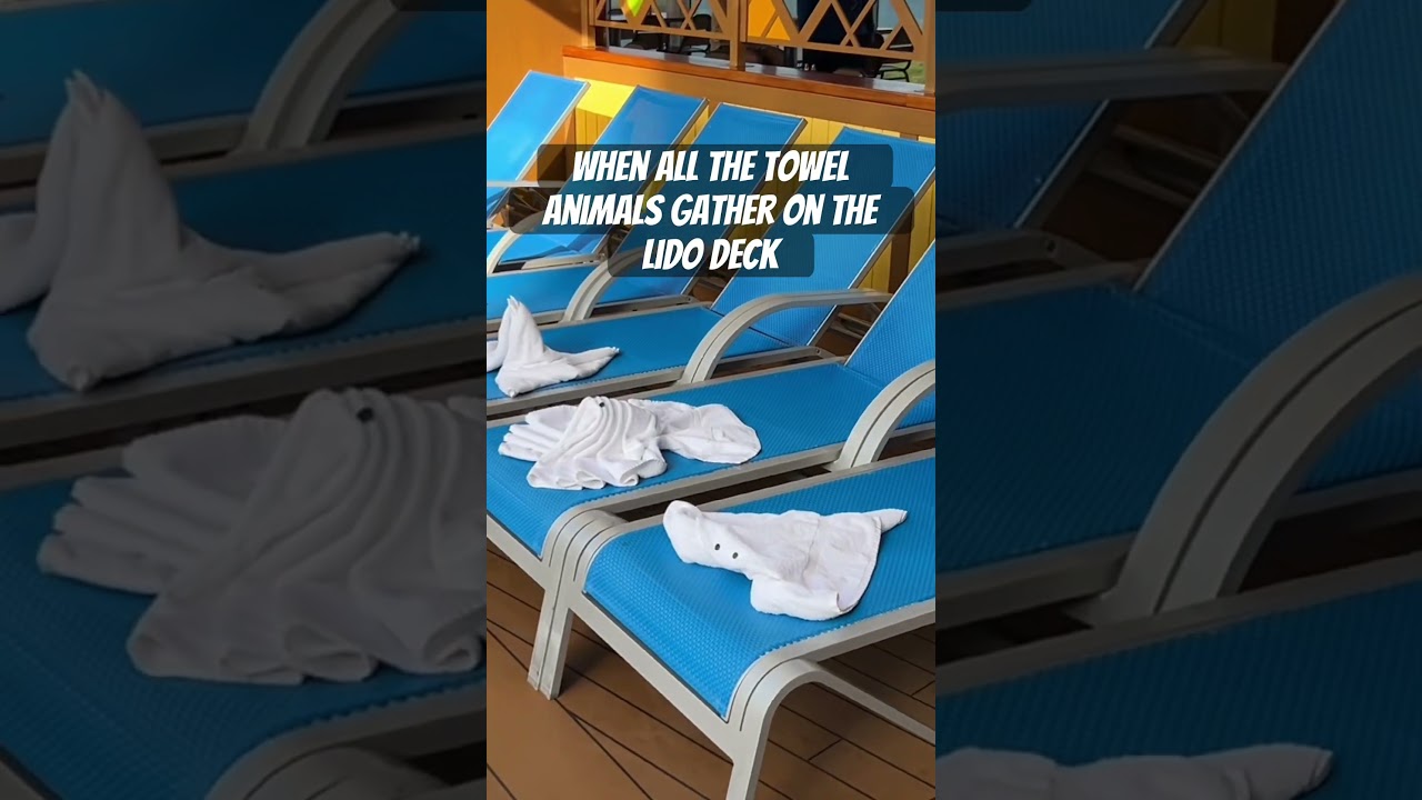 Carnival Jubilee Lido Deck #cruiseship