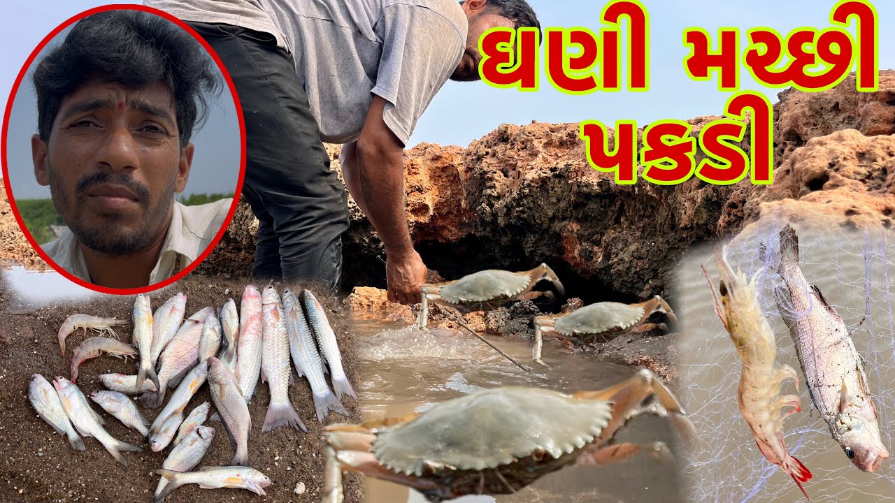 અમારા દરીયે કરચલા.મેઢા પકડવા ગયા 🦀Crabs fishing 🎣🦀 dariyai khedut@desirasoikathiyawadi