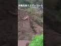 ウンコプールは底無しだった！