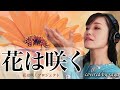 【フル歌詞付き】花は咲く - 花は咲くプロジェクト【ピアノver. / Covered by saya】