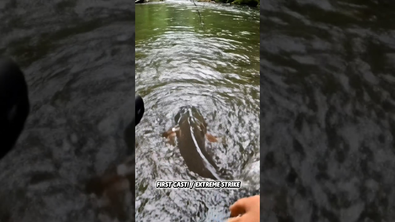 First Cast, Extreme Rod Bend! 