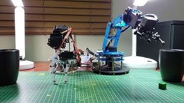 LewanSoul LeArm and SaintSmart 6-DOF robot arms grasping and dropping cubes on buckets