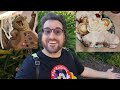 Port Orleans French Quarter Room &amp; Resort Tour | Pin Trading &amp; Beignets