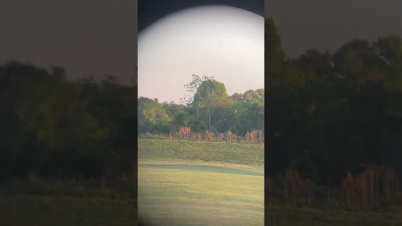 Bushnell powerview 10x50mm. Best Binos for the $$$ 