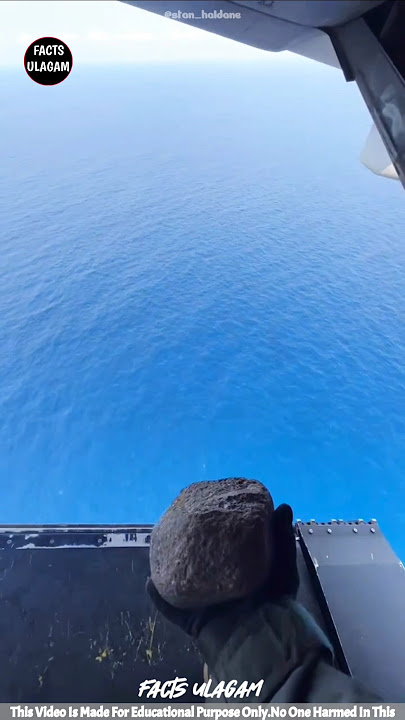 He Dropped The Stone... But No One Expected What Happened Next! 😱| #factsintamil #factsulagam #short