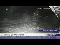 Волки распоясались