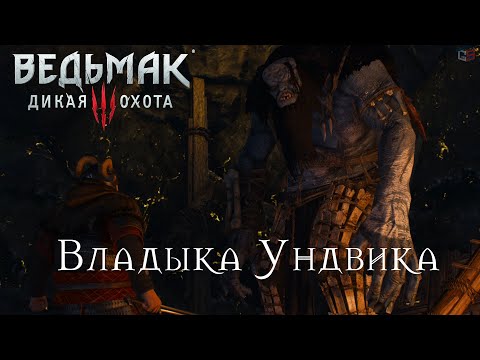Ведьмак 3 "Владыка Ундвика". Как найти человека схваченного троллями при прохождении квеста?