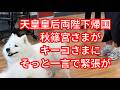 天皇皇后両陛下帰国 秋篠宮さまがキーコさまにそっと一言で緊張が