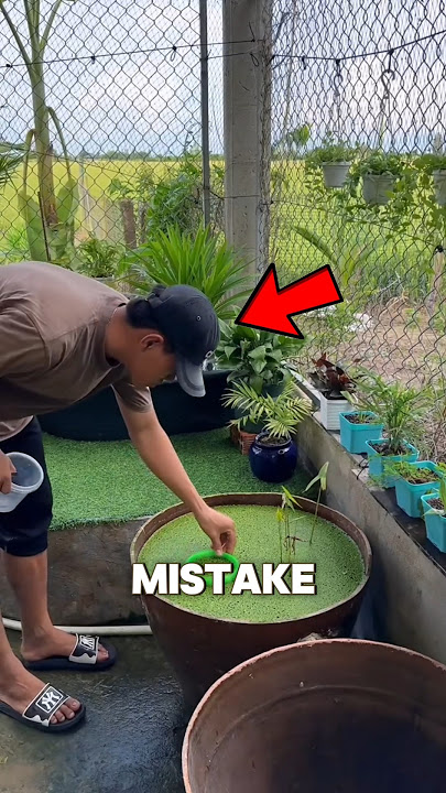 He Forgot His Fish Tank For Months And This Happened! 🐟 😱 #trending #shorts #shortsfeed #shortsvideo