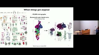 Processing difficult datasets in cryo-EM - Kelly Nguyen