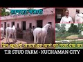 T.R Horse farm को देखकर आपका दिल खुश हो जाएगा - T.R Horse Farm ( Raj.)