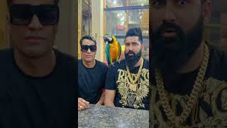 #shortvideo #bollywood #actor #reels #like #comants #suscribe #shortsviral #video #all #fypシ゚viral #