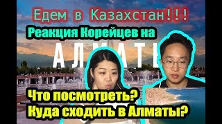Реакция Корейцев на Куда сходить в Алматы?ЕДЕМ В КАЗАХСТАН!