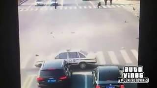 Auto Vines 32