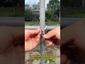 Techniques for building trellises in the garden #food #wheelsaw #automobile